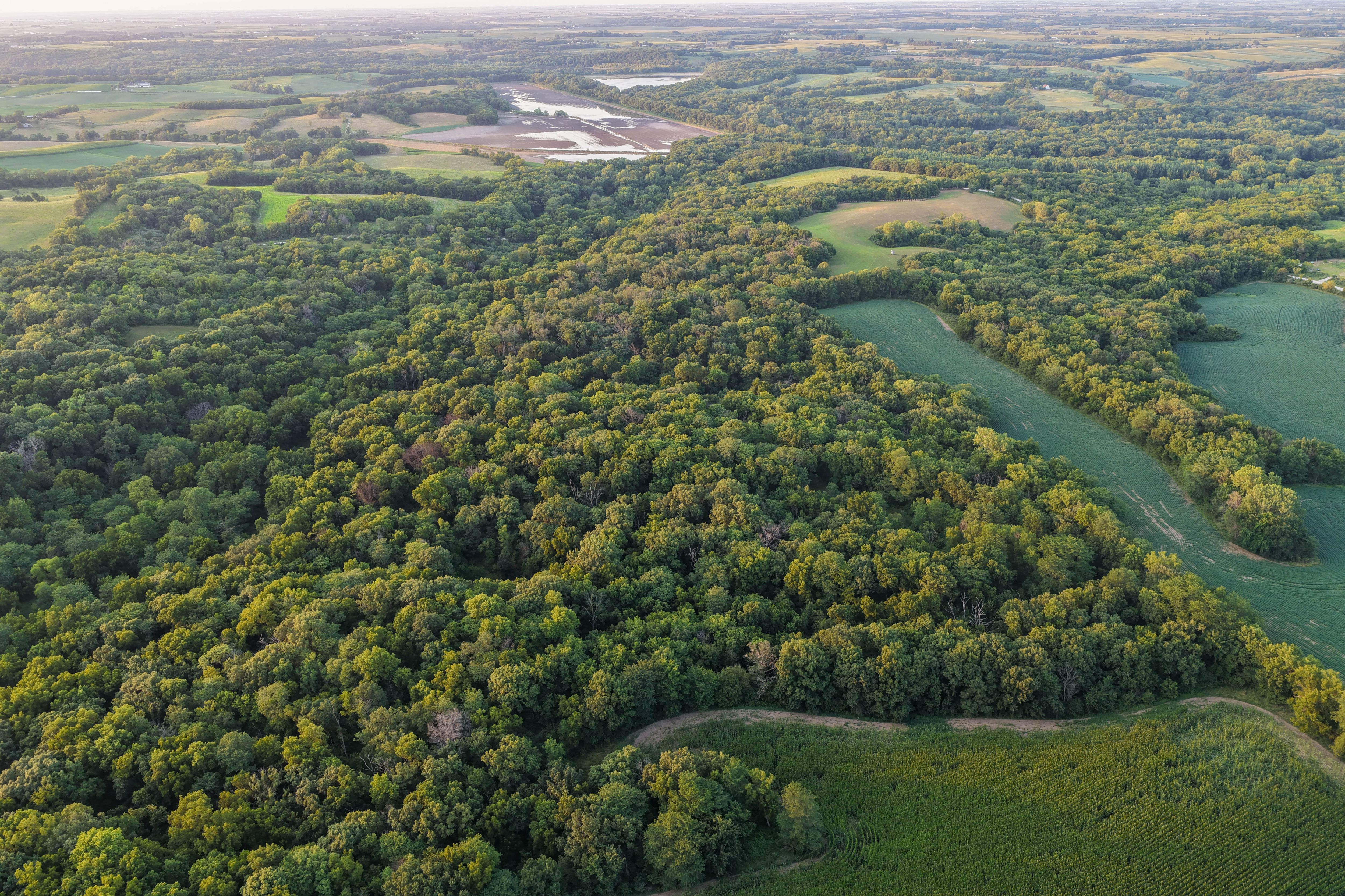 Listing Photo: Whitetail Hunting Farm Mahaska County Iowa-35